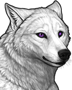 File:Heteropurplesaeculorum preview.png