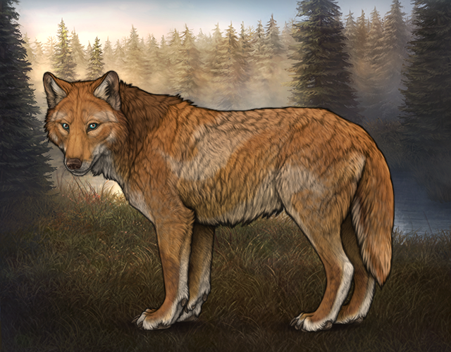 File:Rafflestud jeffiv.png