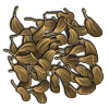 File:Aniseed.png