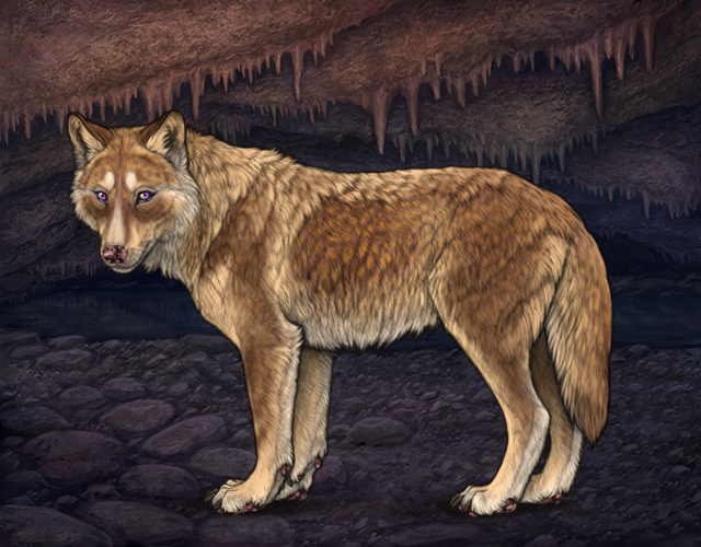 File:Rafflestud buckeyeiii.png