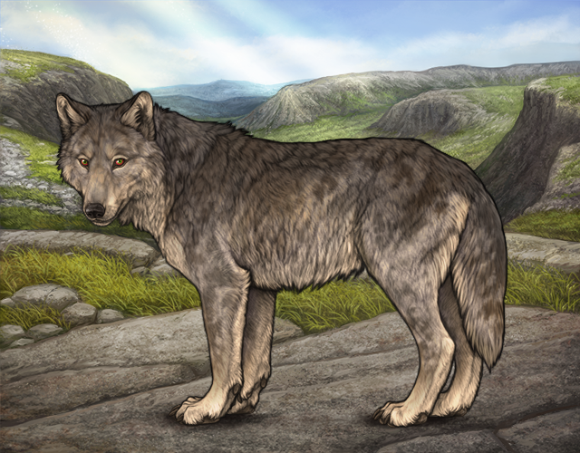 File:Rafflestud wolfymcwolfface.png